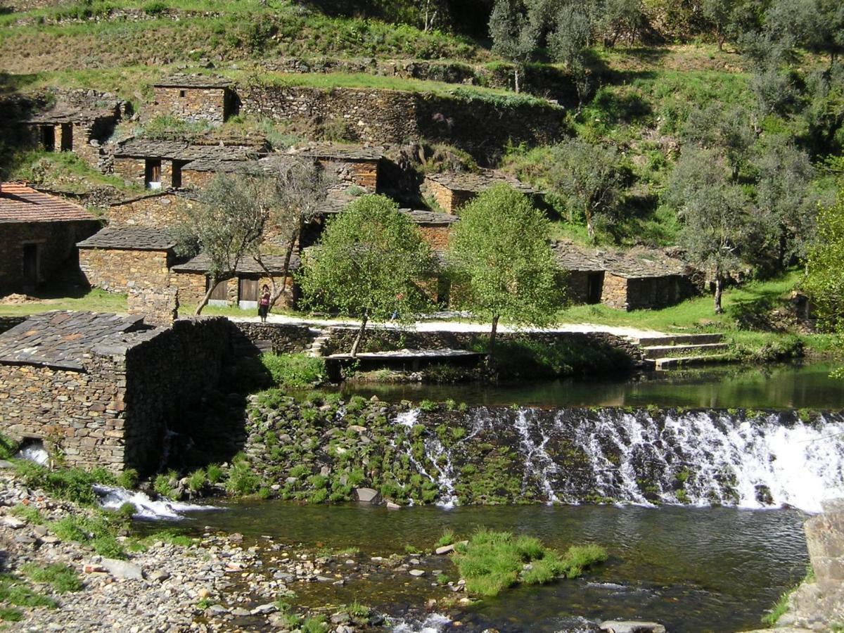 A Charming , Traditional Cottage At Quinta Da Ribeira Vila Nova de Poiares Εξωτερικό φωτογραφία
