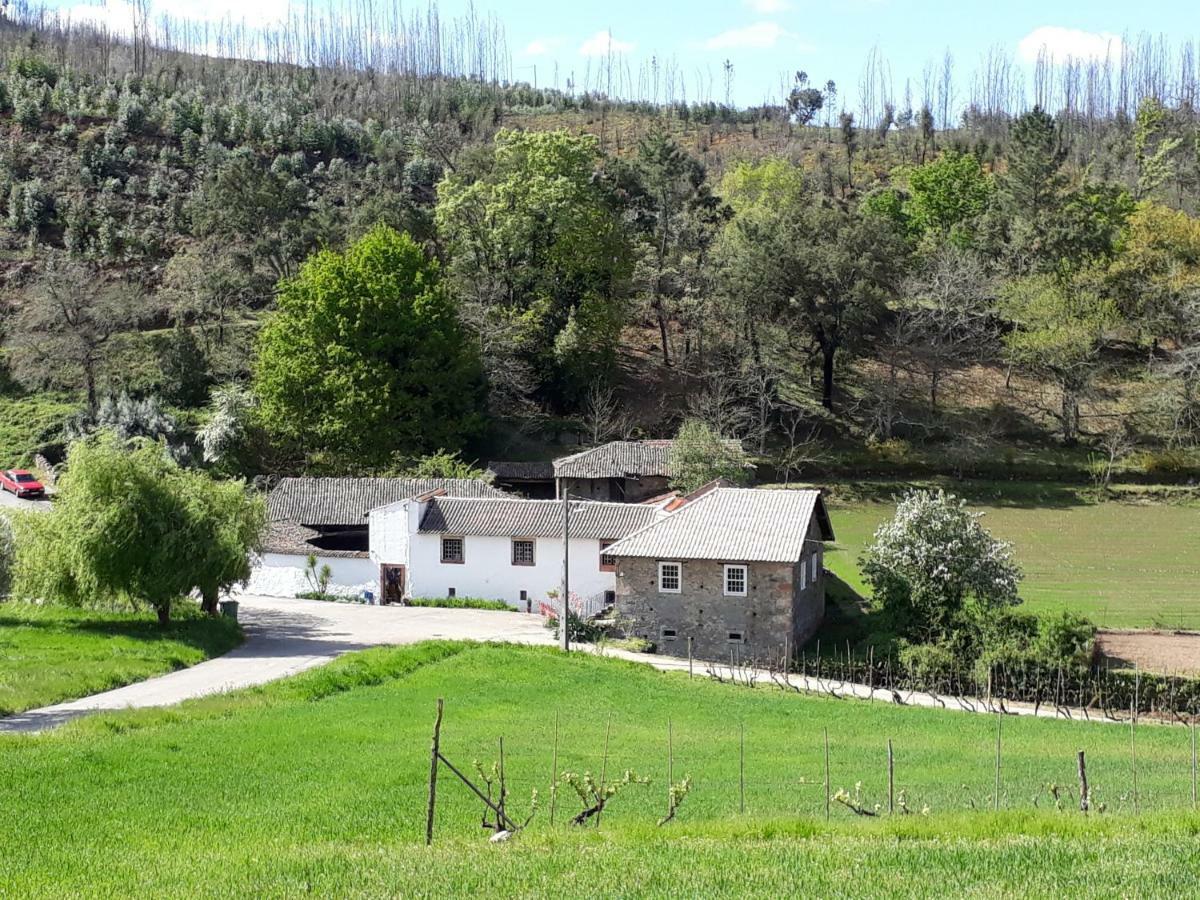 A Charming , Traditional Cottage At Quinta Da Ribeira Vila Nova de Poiares Εξωτερικό φωτογραφία